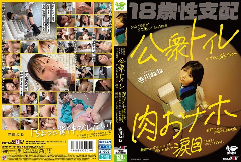 SDAB-341（寺川ねね）SNSで出会ったクズ男にハマった結果、公衆トイレでさくっとヌくための肉おナホ要員にされた18歳の記録映像。最終的に都合のいいように扱われ続けて涙目になるまでマワしつくされる。